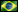 portugues